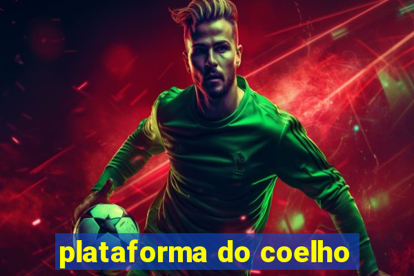 plataforma do coelho